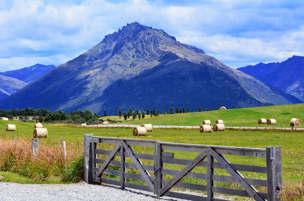 Otago - Nieuw-Zeeland — Stockfoto