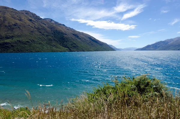 Otago - Nueva Zelanda —  Fotos de Stock