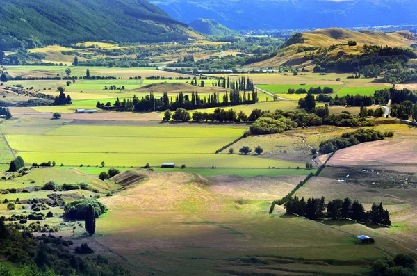 Otago - Nueva Zelanda — Foto de Stock