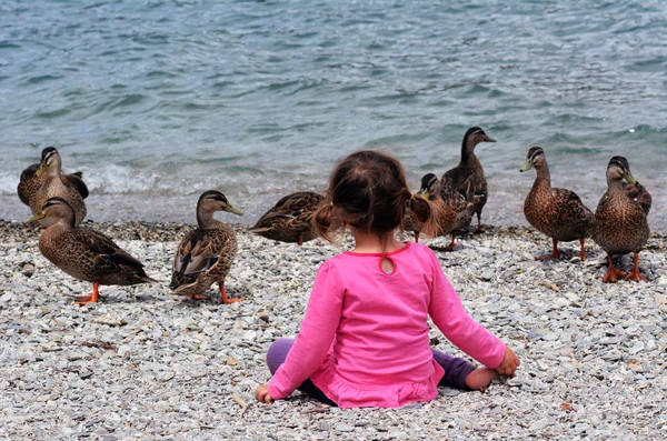 Kind spielt mit Enten — Stockfoto