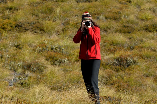 På plats fotograf — Stockfoto