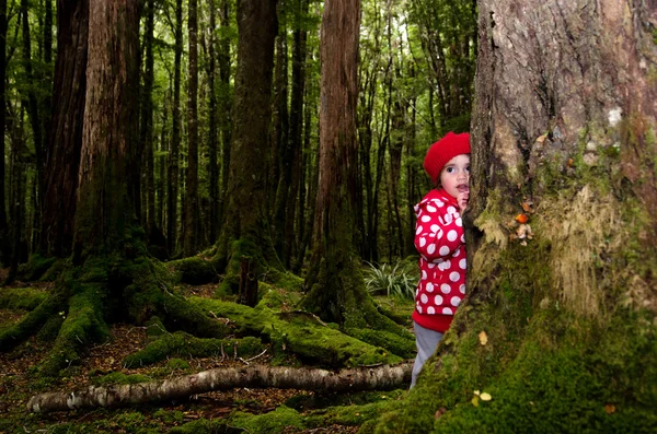 Kind versteckt sich hinter einem Baum — Stockfoto