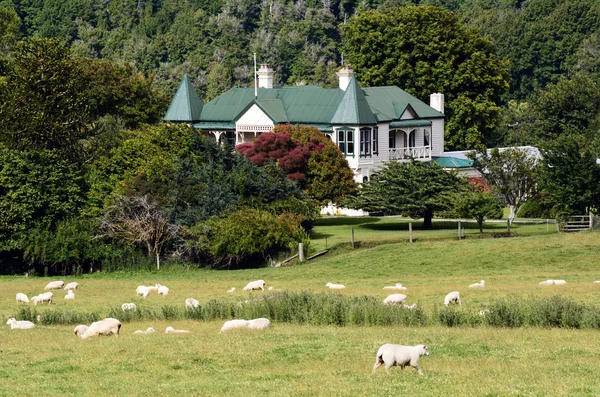 Agricultura en Nueva Zelanda — Foto de Stock