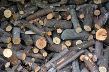 yakacak odun günlükleri