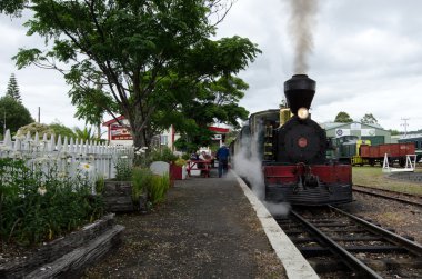 Bay Adaları vintage tren kawakawa NZ