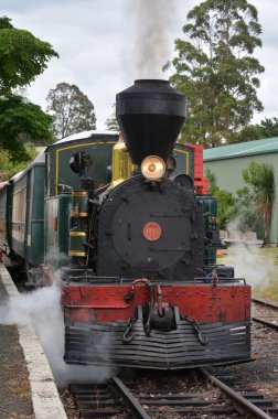 Bay Adaları vintage tren kawakawa NZ