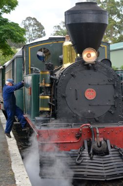 Bay Adaları vintage tren kawakawa NZ
