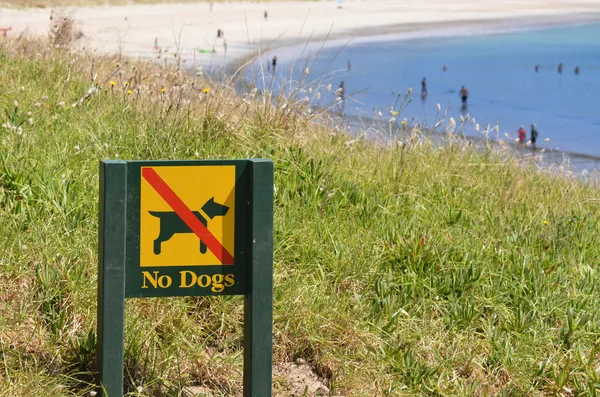 Inga hundar tillåtna tecken — Stockfoto