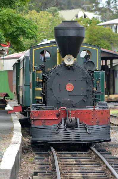 Saarten lahti Vintage Railway Kawakawa NZ — kuvapankkivalokuva