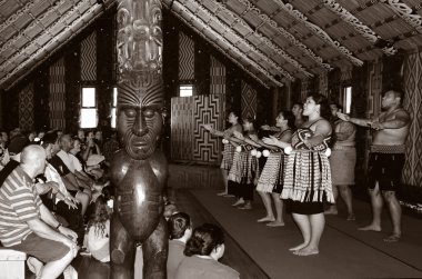 Waitangi Antlaşması gerekçesiyle