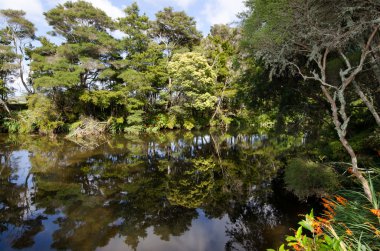 Kerikeri - Yeni Zelanda