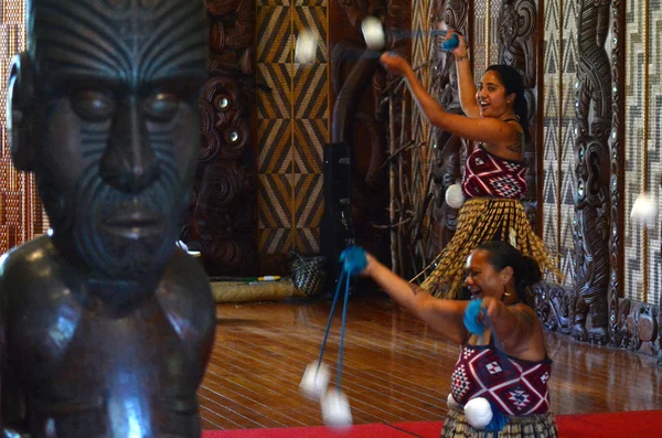 Waitangi Treaty Grounds — Stok Foto