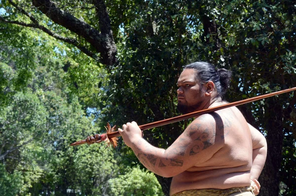 Homem maori — Fotografia de Stock