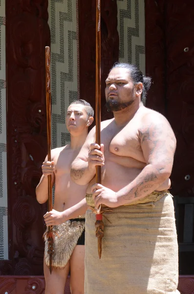 Maori mannen preforming — Stockfoto