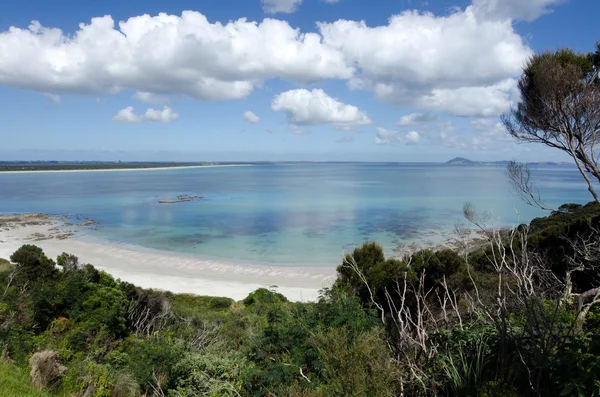 Karikari halbinsel - neuseeland — Stockfoto