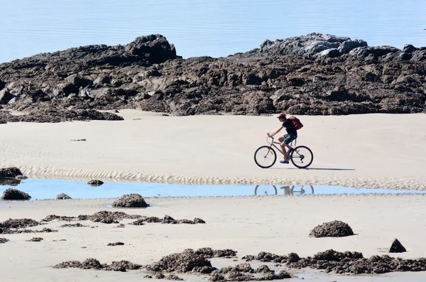 Mand ride en cykel - Stock-foto