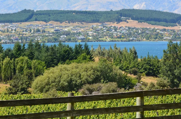 Wanaka - Neuseeland — Stockfoto