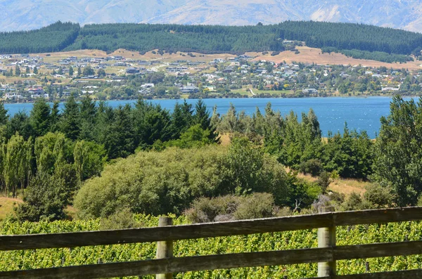 Wanaka - Nuova Zelanda — Foto Stock