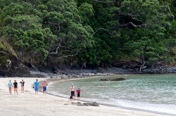 Taupo bay - Nowa Zelandia — Zdjęcie stockowe