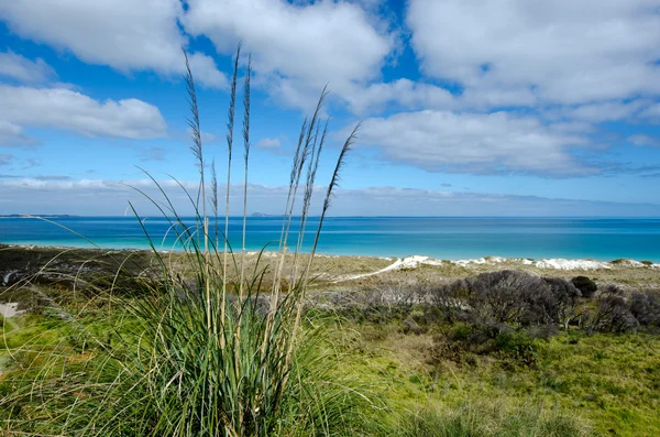 Karikari halbinsel - neuseeland — Stockfoto