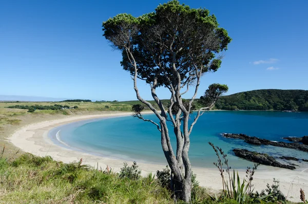 凯里凯利半岛-新西兰 — 图库照片