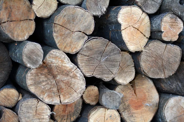 Firewood logs — Stock Photo, Image