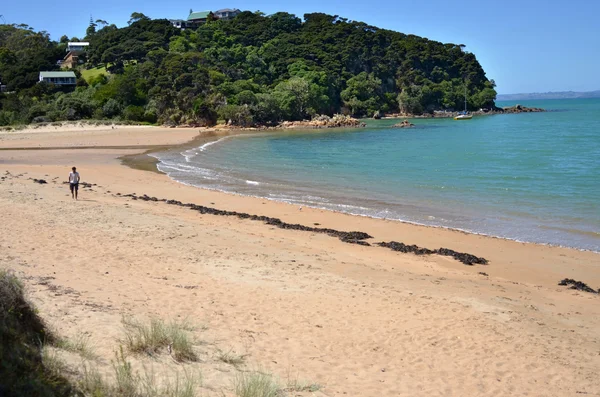 Karikari Peninsula — Stock Photo, Image