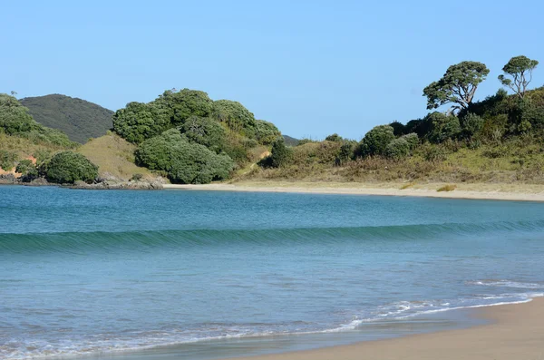 Landscape view of Matai Bay — Stock Photo, Image