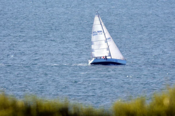 Yate de carreras — Foto de Stock