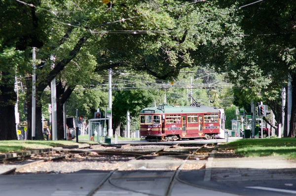 Μελβούρνη πόλης τραμ — Φωτογραφία Αρχείου