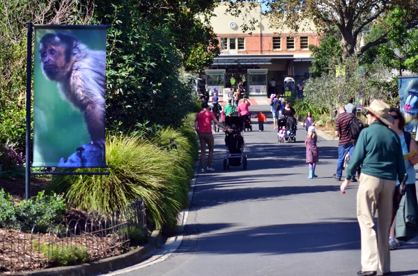 Der zoologische Garten Royal Melbourne Zoo — Stockfoto
