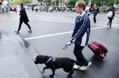 kör adam rehber köpeği tarafından yönetiliyor