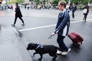 Blind man is led by his guide dog