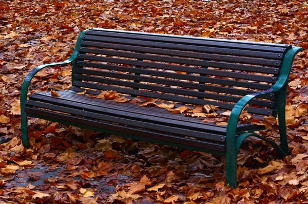 Empty bench — Stock Photo, Image