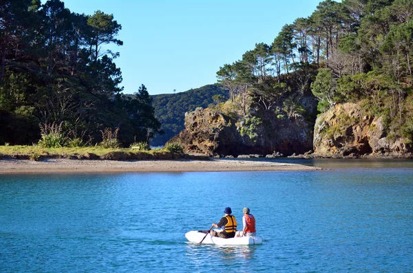 Roberton ostrova v zátoce ostrovů Nového Zélandu — Stock fotografie