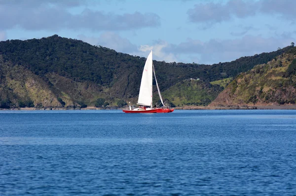 Jacht varen in de baai van eilanden Nieuw-Zeeland — Stockfoto