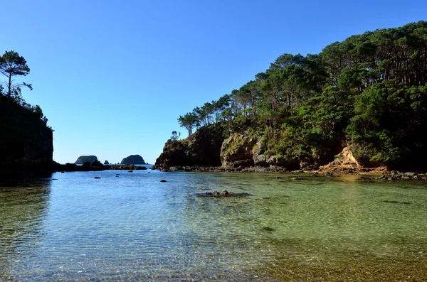 Isla Roberton en la Bahía de las Islas Nueva Zelanda — Foto de Stock