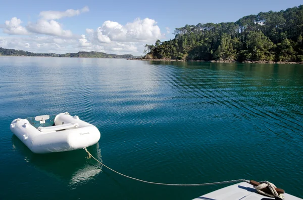 Isla Roberton en la Bahía de las Islas Nueva Zelanda — Foto de Stock