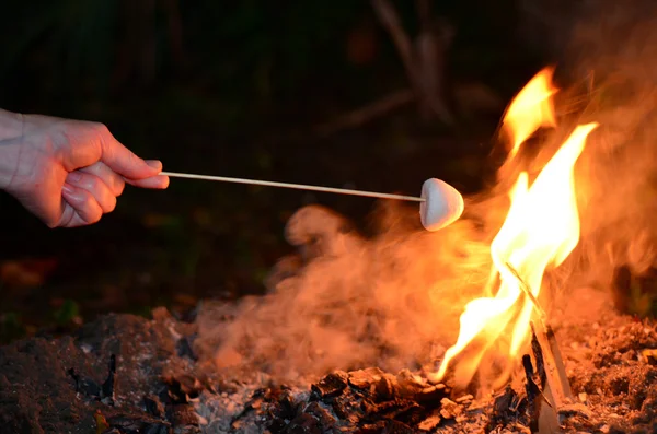 Marshmallow panggang di atas api kamp — Stok Foto