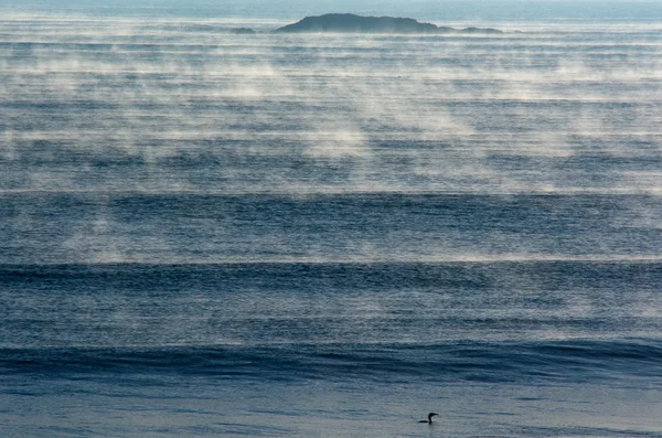 Seascape of fog over cold sea waves — Stock Photo, Image