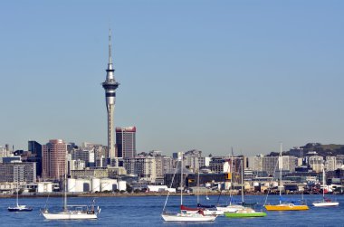 Auckland şehir manzarası