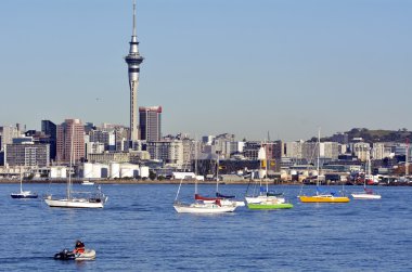 Auckland şehir manzarası
