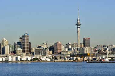 Auckland şehir manzarası