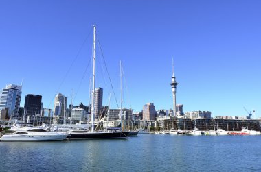 Auckland şehir manzarası