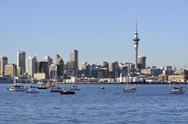Auckland şehir manzarası