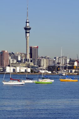 Auckland şehir manzarası