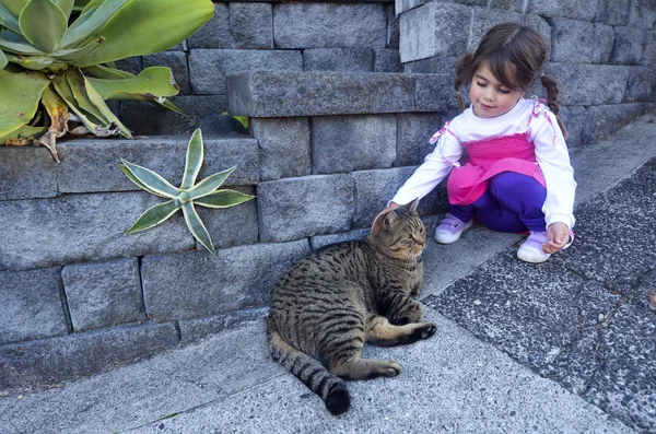 Маленькая девочка гладит кошку — стоковое фото