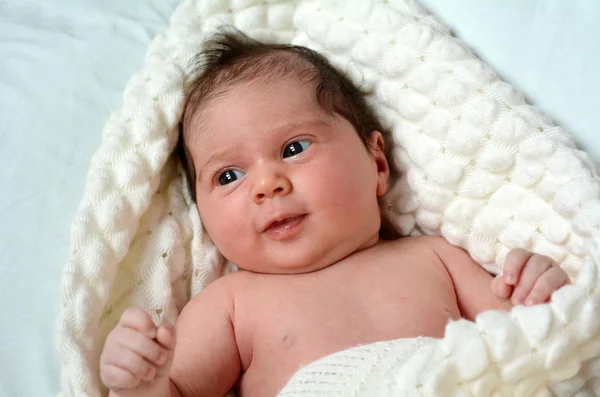 Bebê recém-nascido - retrato — Fotografia de Stock