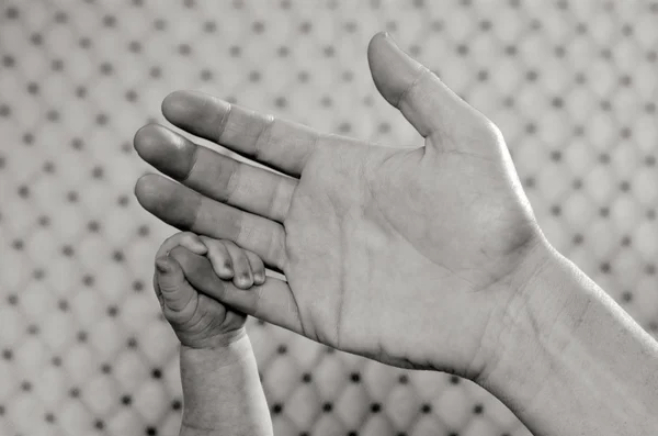 Новорожденный ребенок - рука — стоковое фото