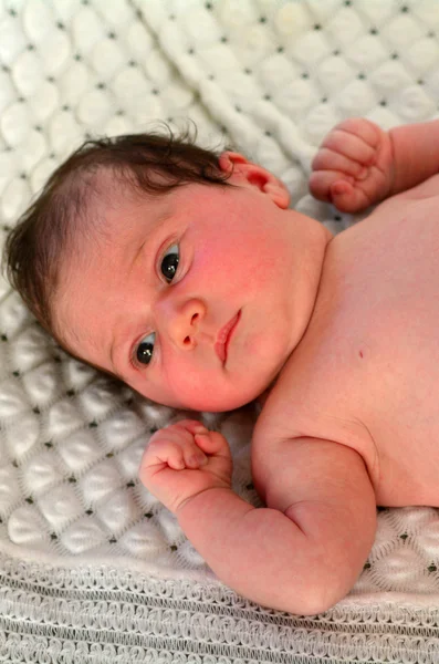Novorozence baby - portrét — Φωτογραφία Αρχείου